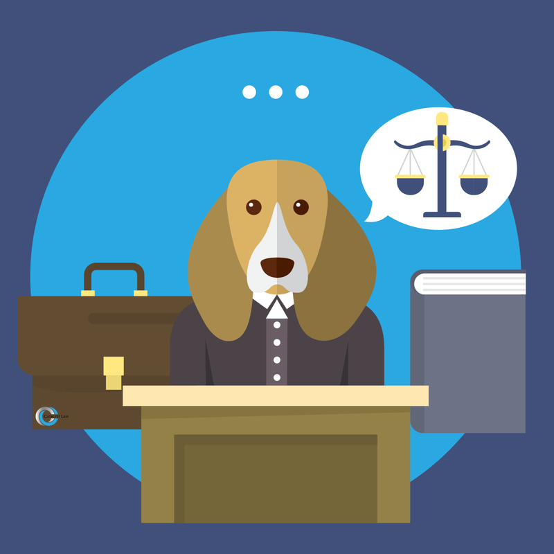 dog being defended by a lawyer in court
